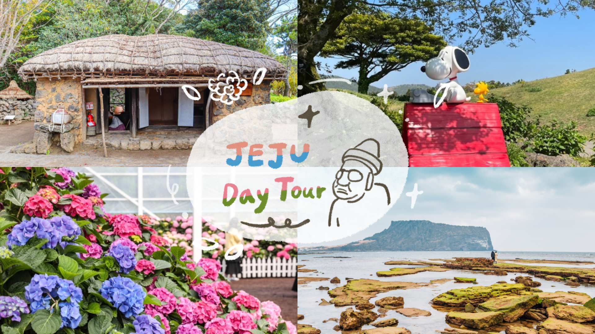 Explore the unique charm of Jeju Island with stunning hydrangeas traditional houses and picturesque coastlines perfect for creating unforgettable memories and photos.
